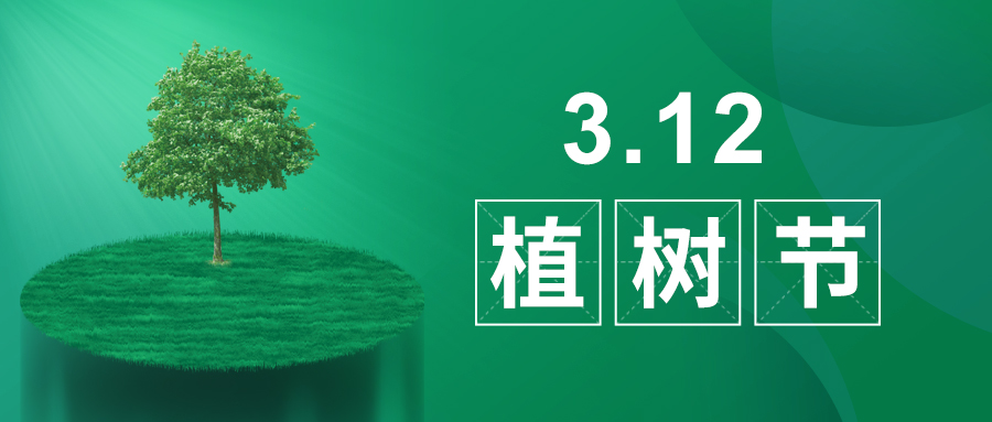 3.12植樹節(jié)|除了植樹，我們還能做什么？